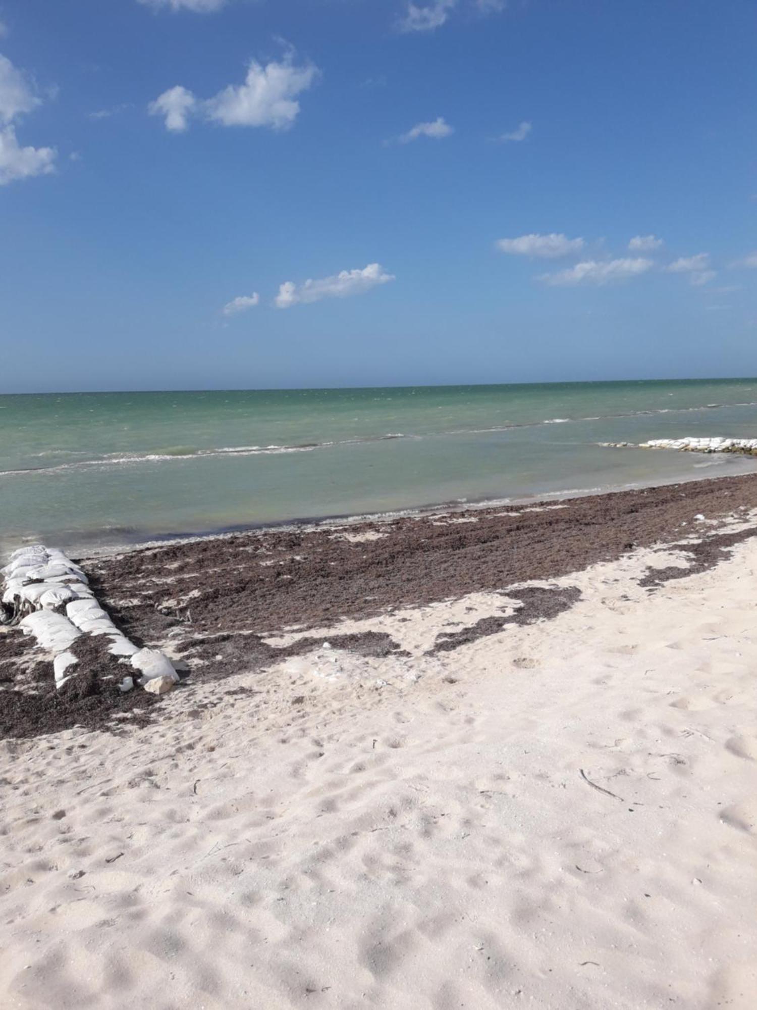 פרוגרסו Casa Pepe Vacation Rental Progreso מראה חיצוני תמונה
